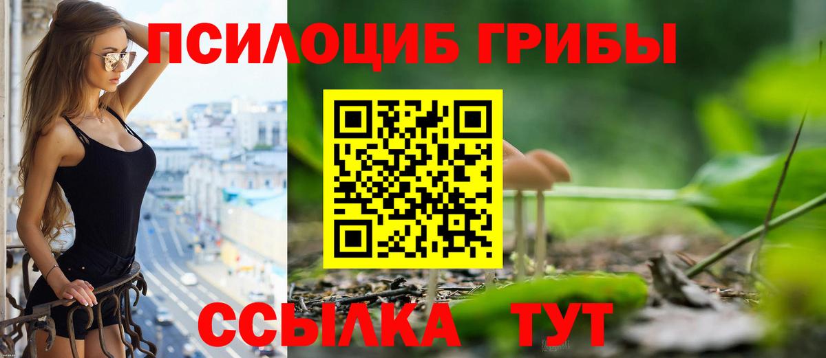 Галлюциногенные грибы Psilocybe  Вход с VPN  Похвистнево 